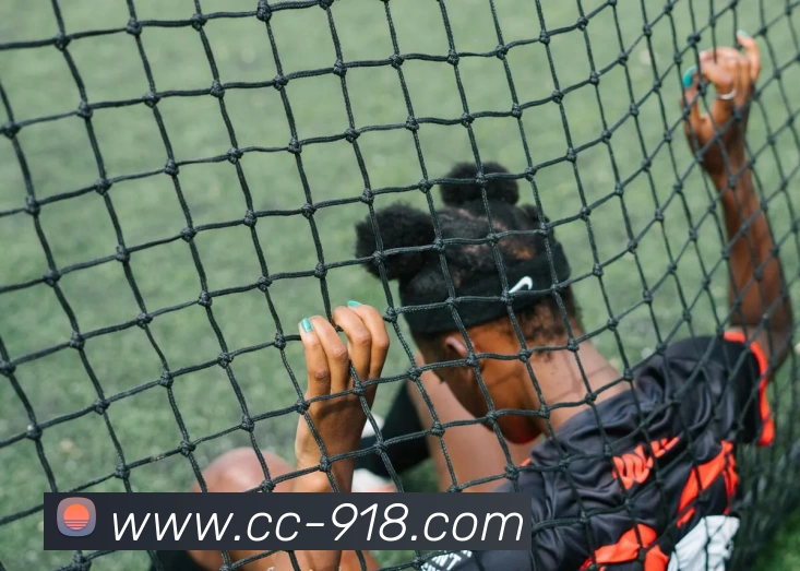 博天堂平台生态图